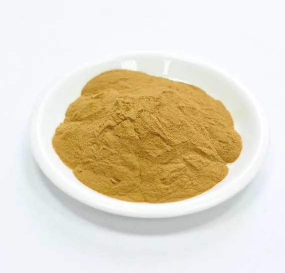 Сухой экстракт багульника (побеги) (лат. Ledum Palustre L.)